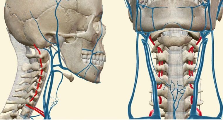 Sindromul vascular în osteochondroză